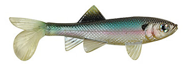 Berkeley Power bait Sick Fish